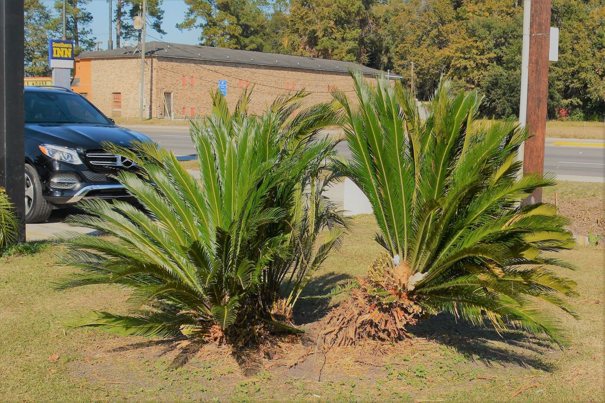 Travelodge By Wyndham Walterboro Bagian luar foto